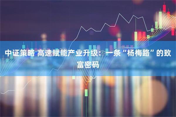 中证策略 高速赋能产业升级：一条“杨梅路”的致富密码