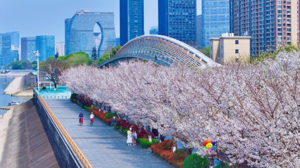 配查信 从微更新到城市更新: 滨江区如何走出“全省唯一 两届上榜”住建部典型案例之路