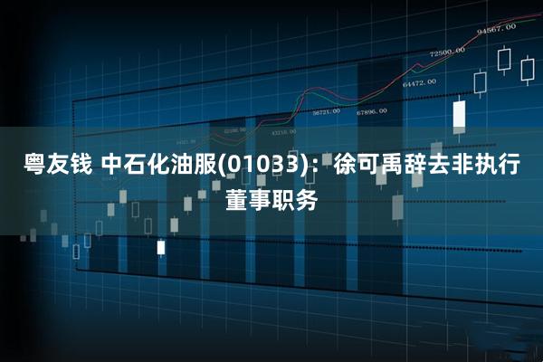 粤友钱 中石化油服(01033)：徐可禹辞去非执行董事职务