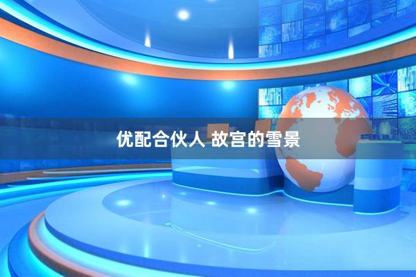 优配合伙人 故宫的雪景